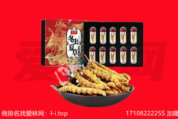 贵港平南县回收虫草.jpg